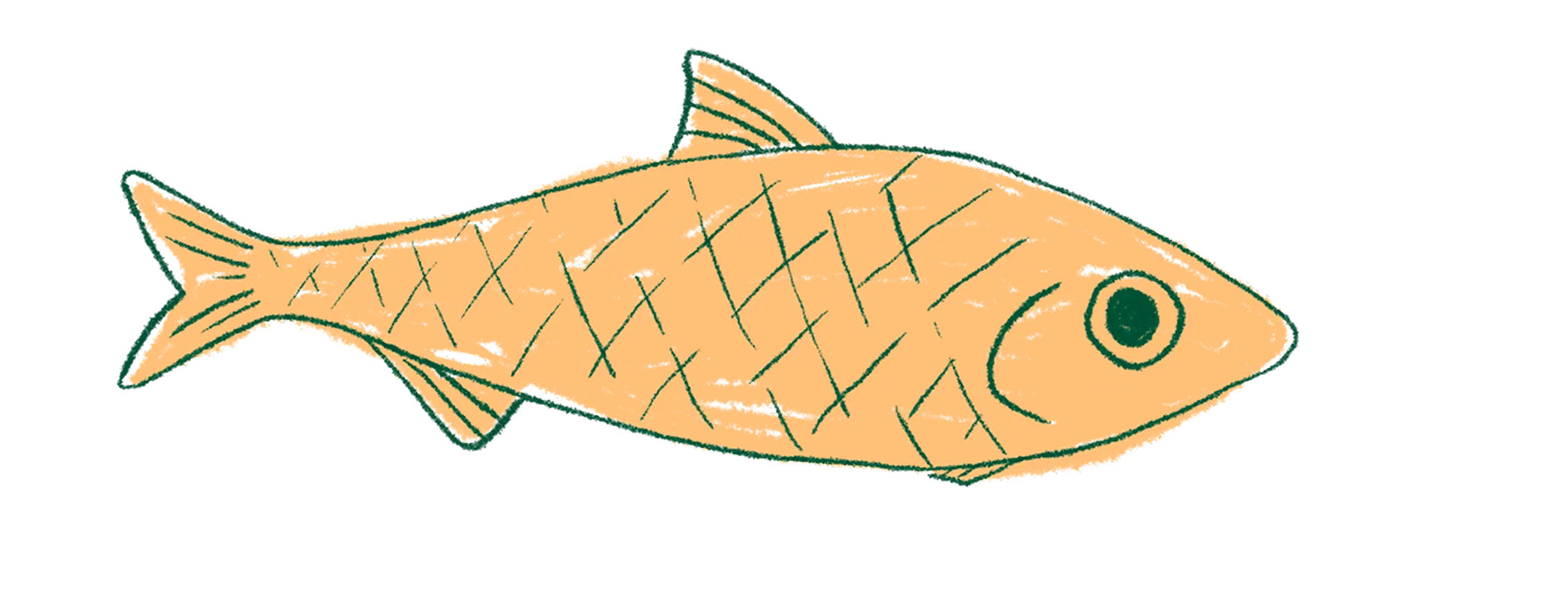 Drawn fish.